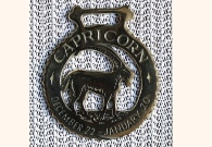 Star Sign Capricorn 1.jpg
