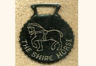 Shire Horse 1.jpg